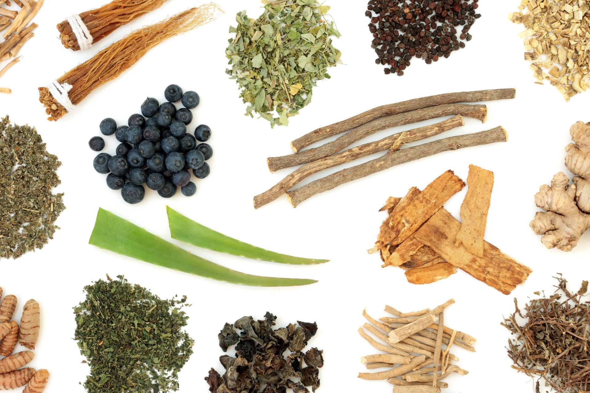 Adaptogeny–czym są, jak działają i kiedy warto je stosować - obrazek wyróżniający