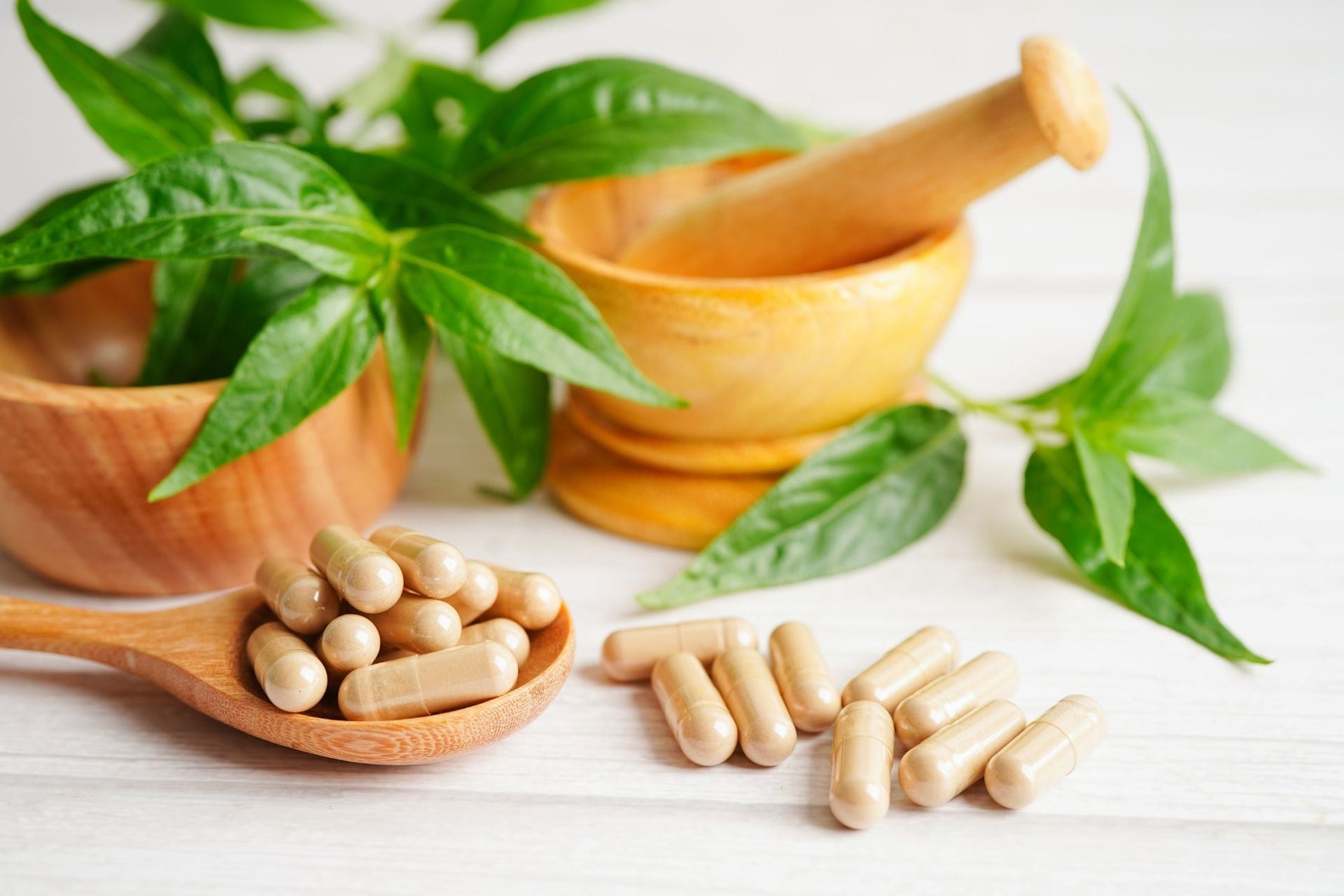 Andrographis Paniculata - naturalne działanie przeciwko bakteriom, wirusom i pasożytom - obrazek wyróżniający