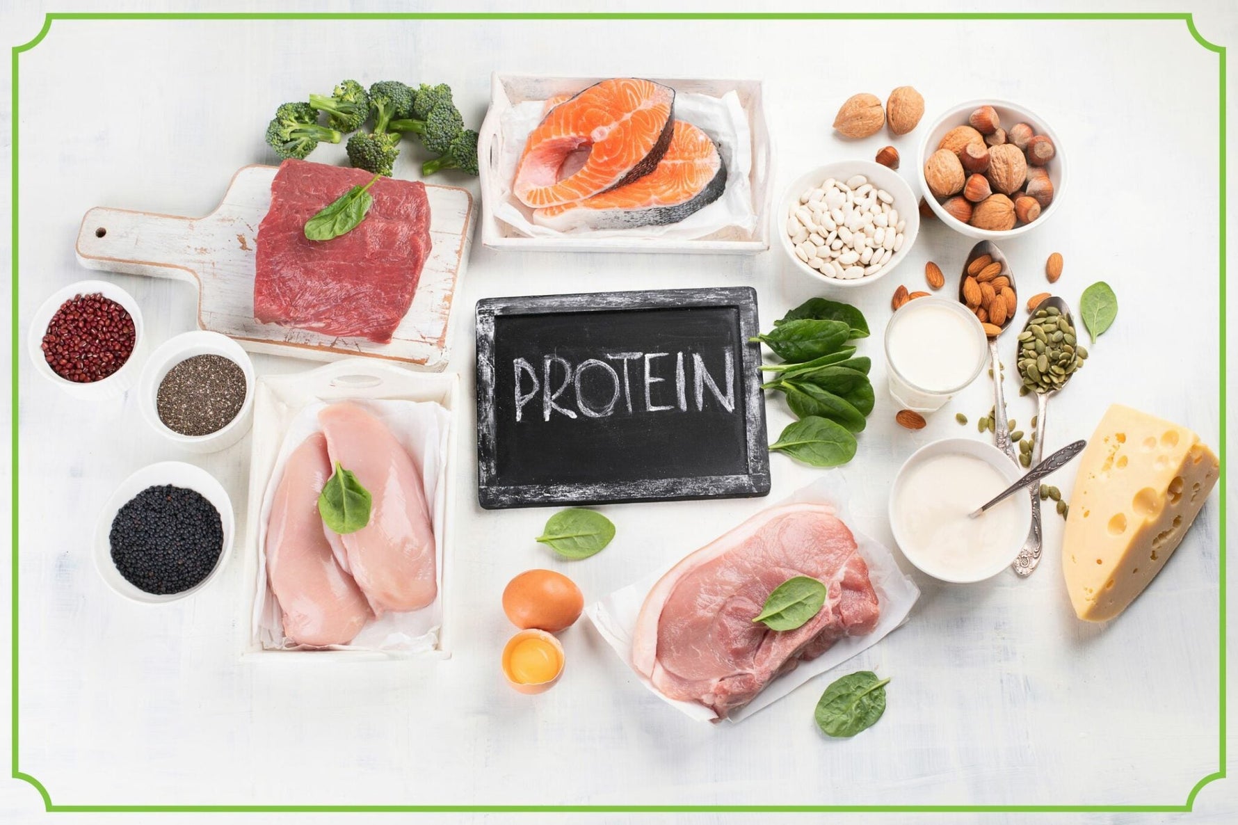 Białko roślinne a zwierzęce różnice i podobieństwa - obrazek wyróżniający