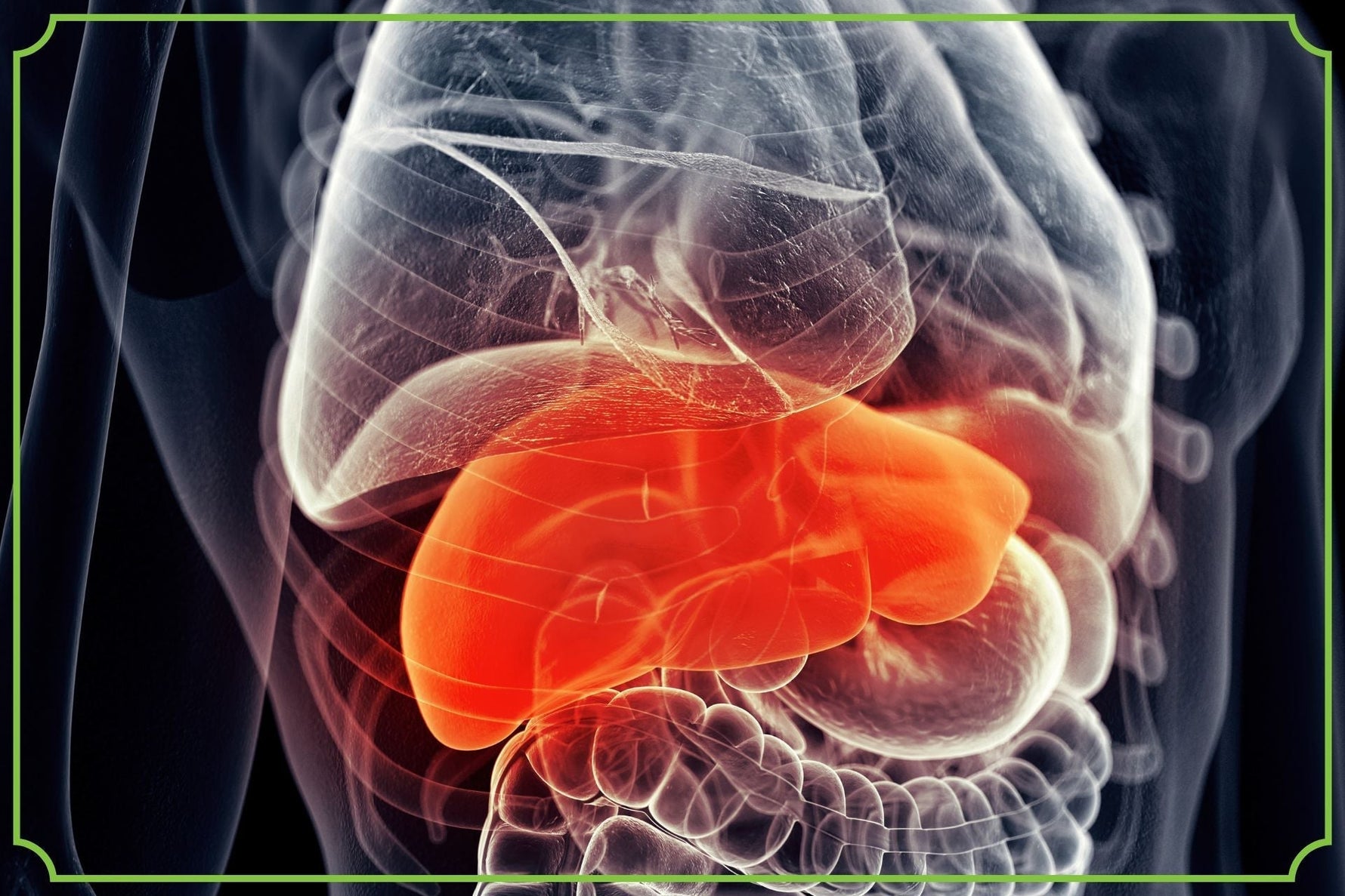 Chora wątroba objawy i choroby – na co zwrócić uwagę - obrazek wyróżniający