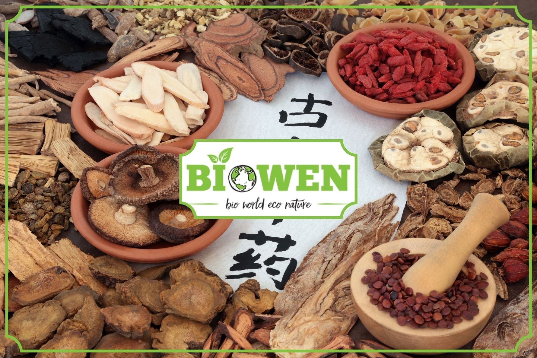 właściwości grzybów witalnych - obrazek wyróżniający