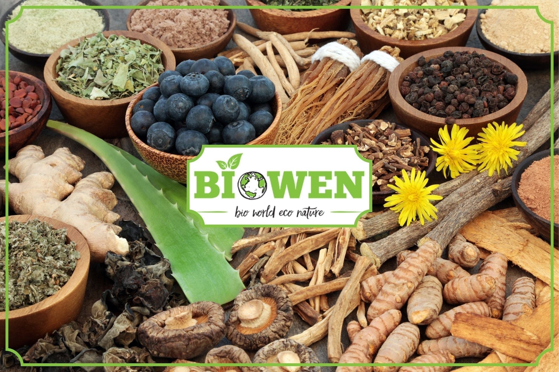 Adaptogen jak wybrać - obrazek wyróżniający