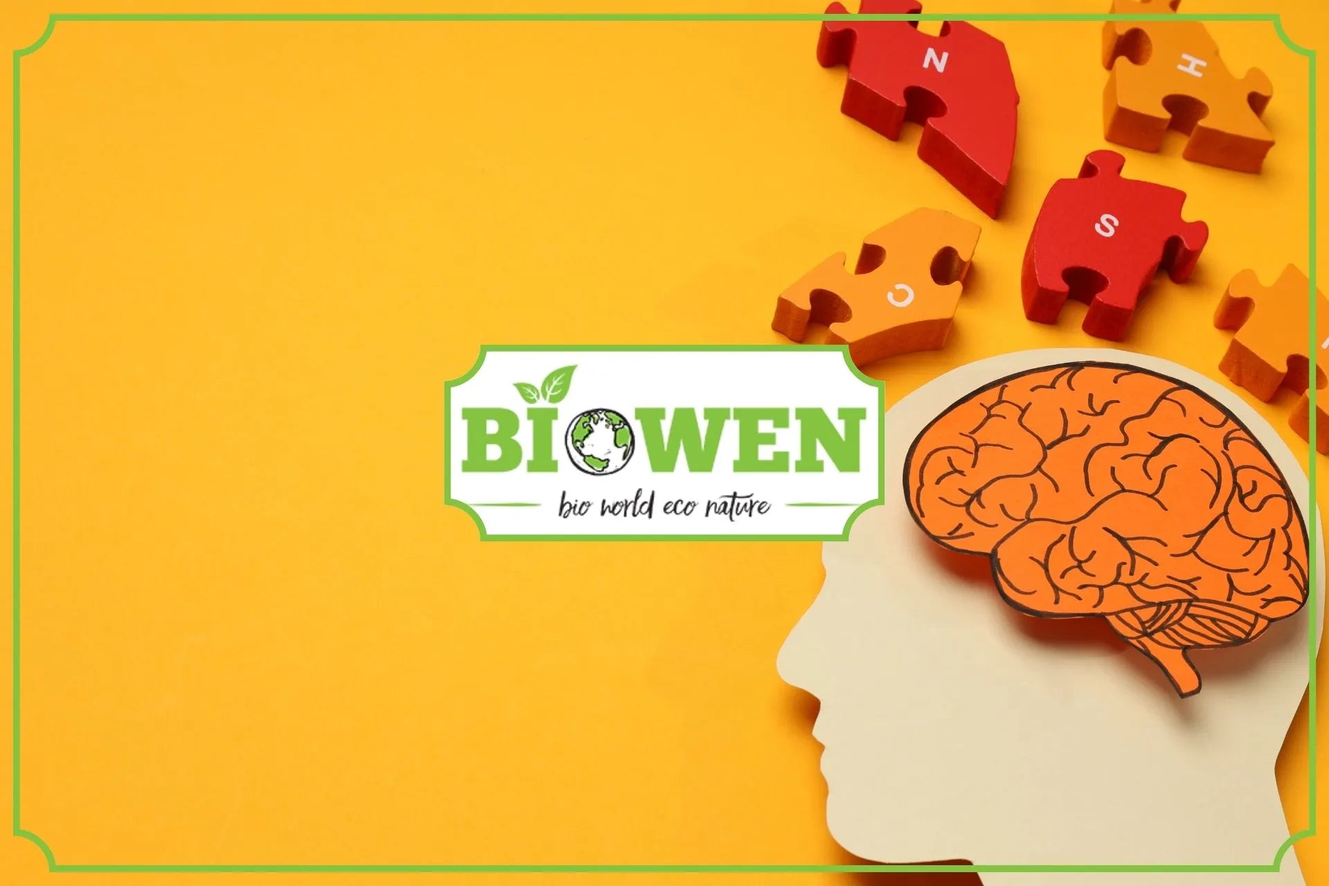 Jakie wybrać suplementy na pamięć i poprawę koncentracji