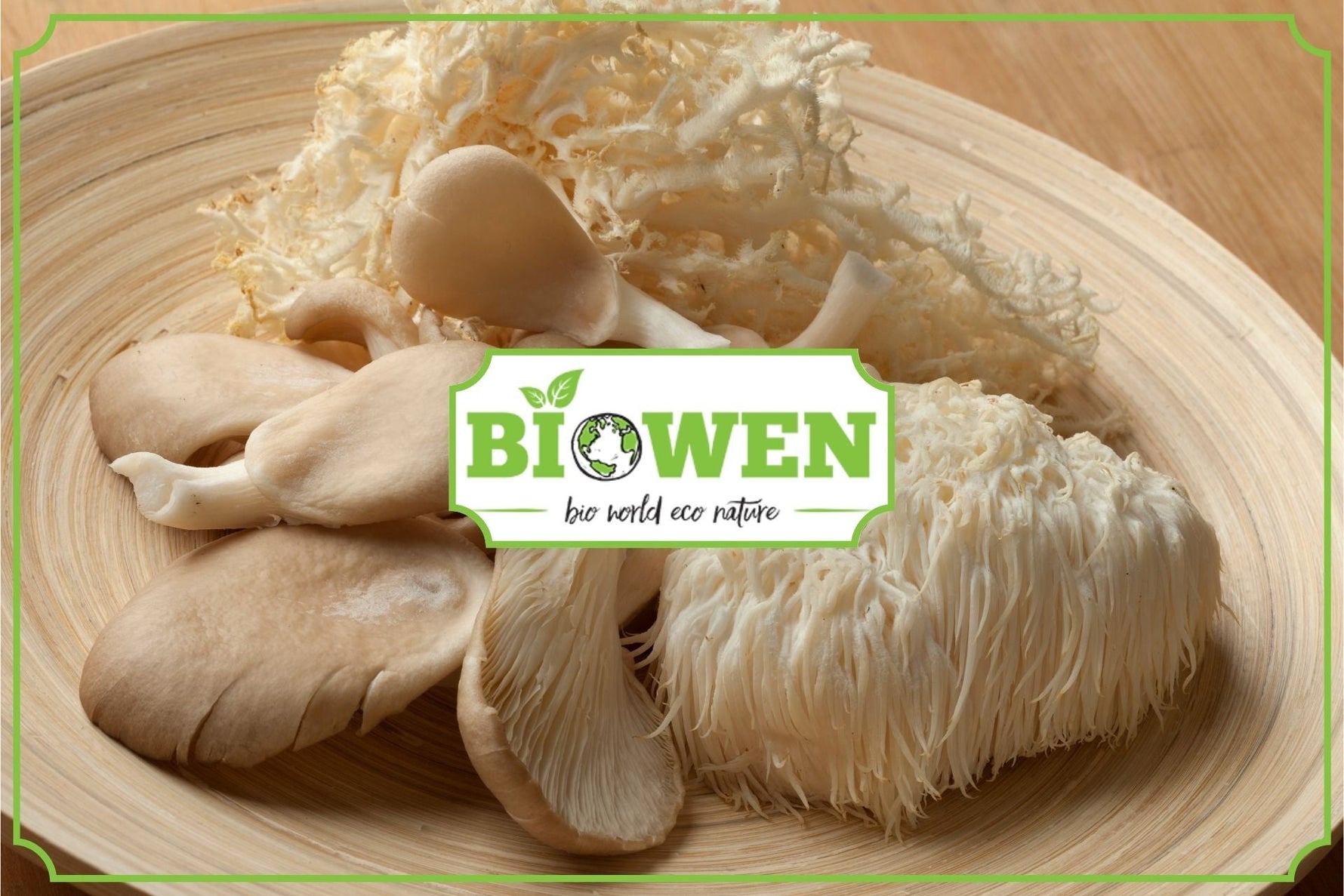 Lion's mane właściwości i stosowanie