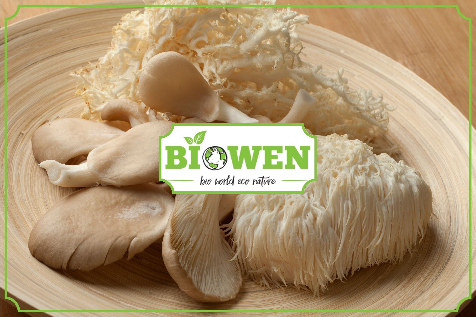 Lion's mane właściwości i stosowanie