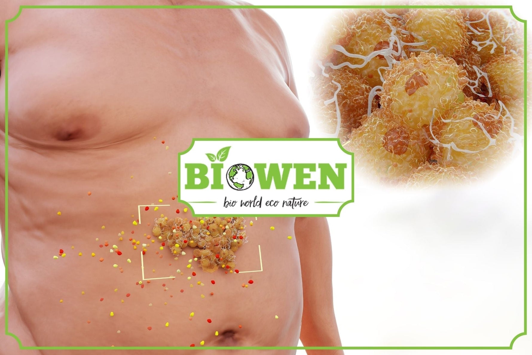 Oporna tkanka tłuszczowa - geneza, jak sobie z nią radzić - obrazek wyróżniający