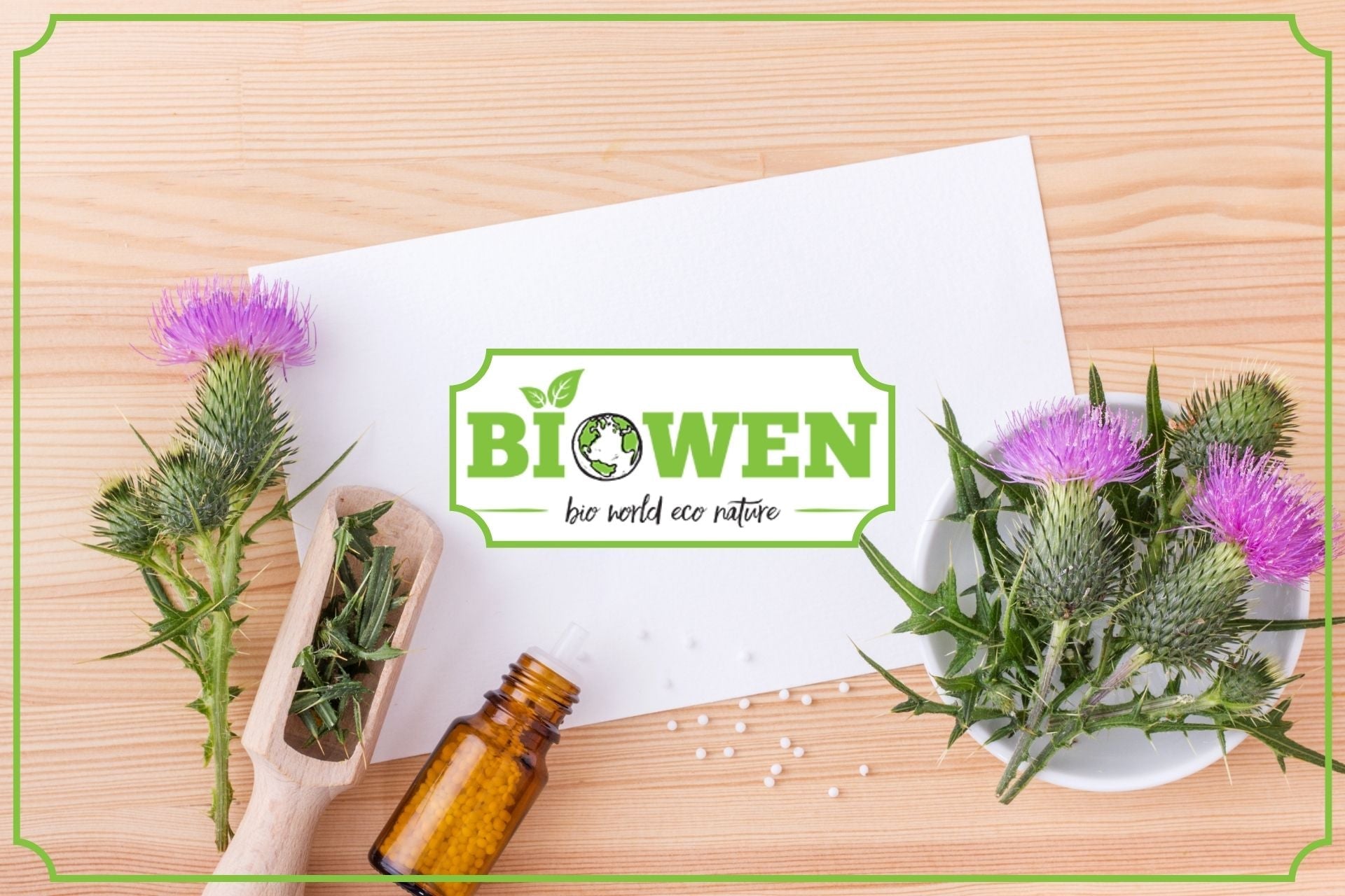 ostropest plamisty stosowanie i właściwości - obrazek wyróżniający