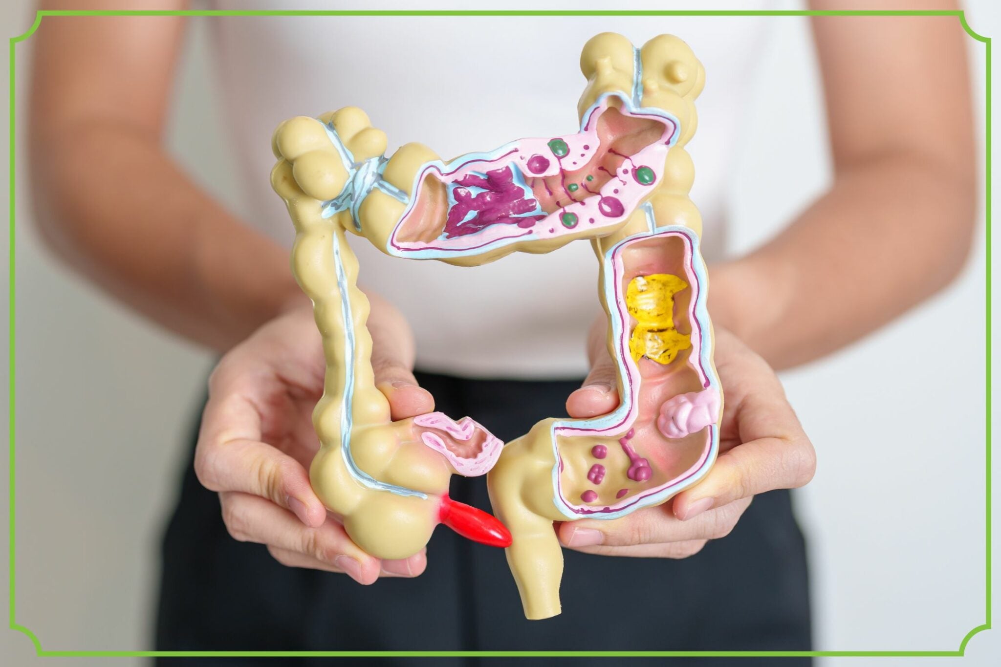 Suplementy na trawienie i komfort układu pokarmowego - obrazek wyróżniający