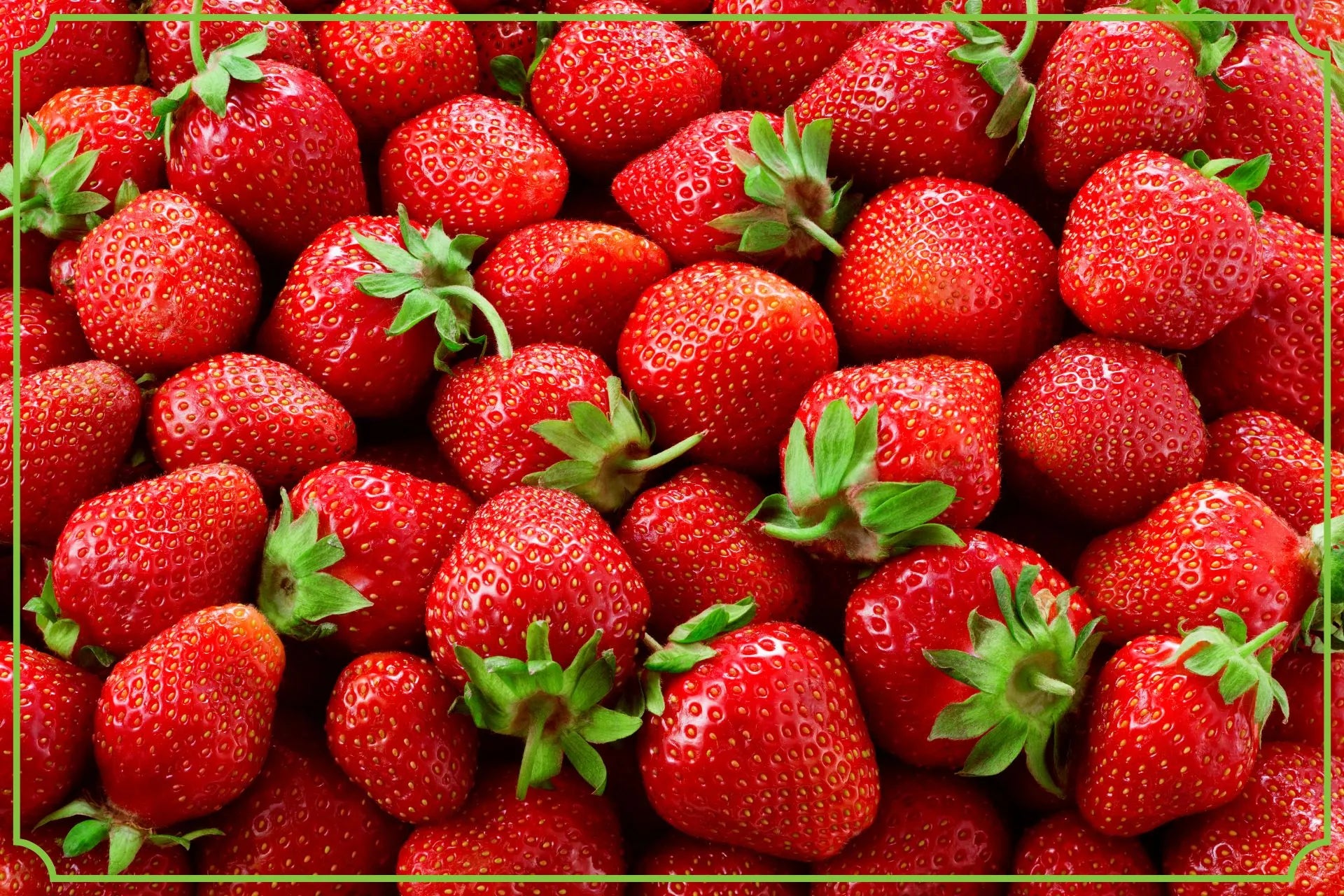 Truskawki–właściwości, wartości odżywcze i wpływ na zdrowie - obrazek wyróżniający