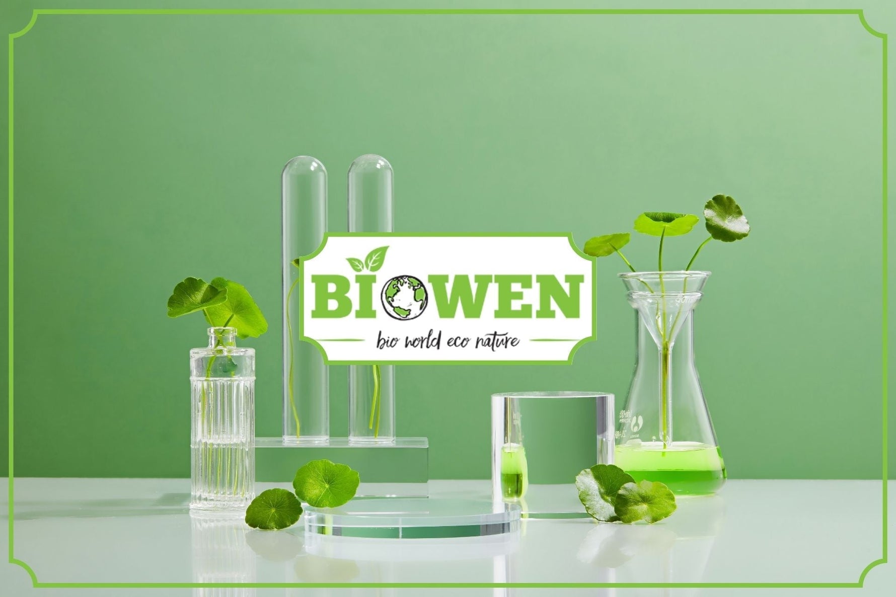 Wąkrotka azjatycka (Gotu kola) - właściwości i zastosowanie