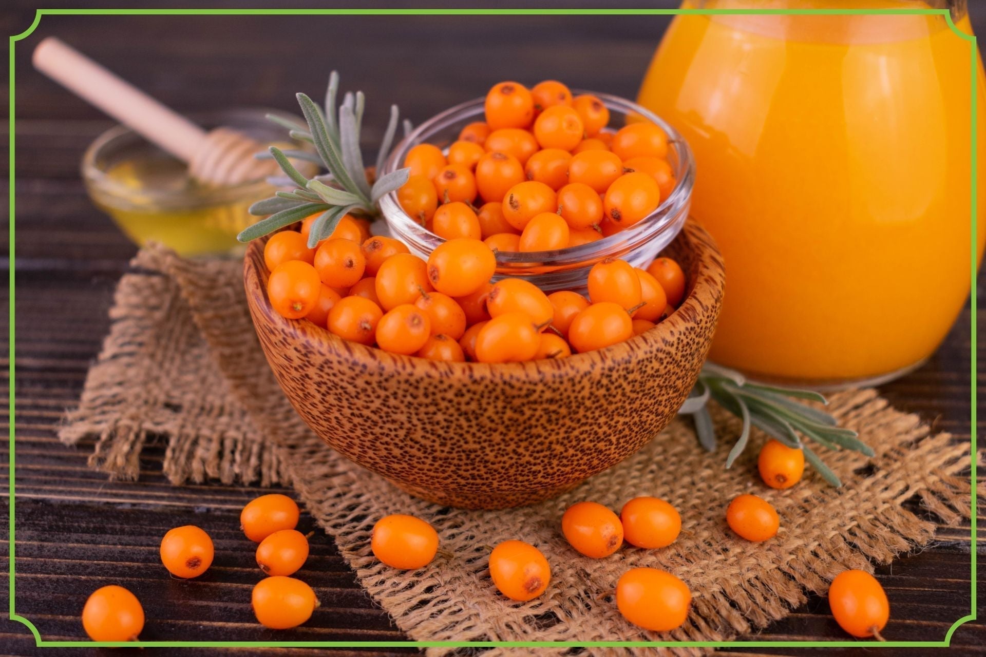 Dlaczego warto sięgnąć po rokitnik? Właściwości i zastosowanie