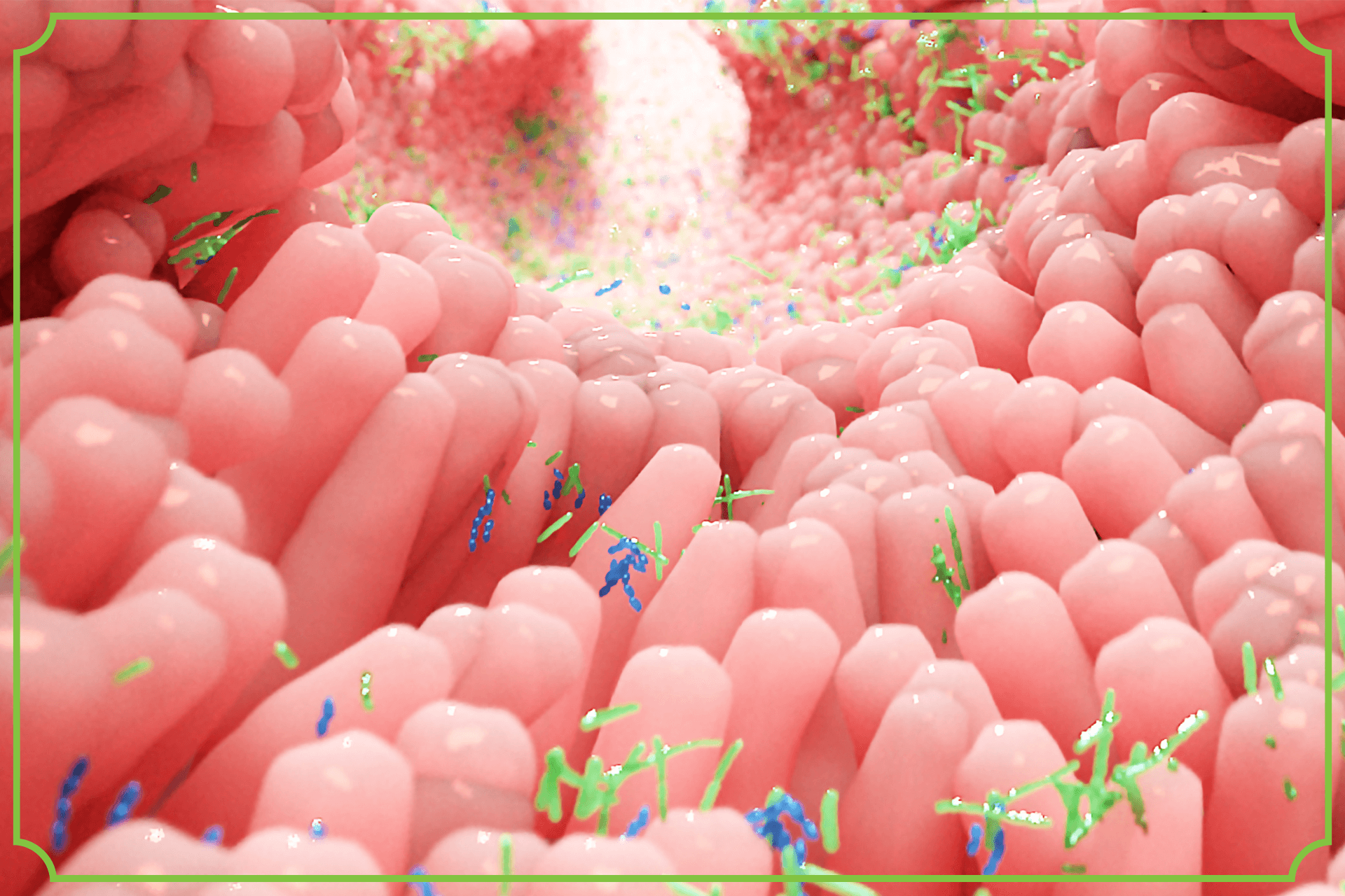 Flora bakteryjna – co to jest i gdzie ją znaleźć? obrazek wyróżniajacy