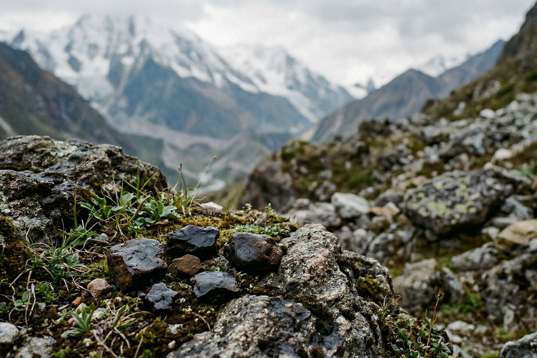 Mumio shilajit – czym jest i jakie ma właściwości? - obrazek wyróżniający