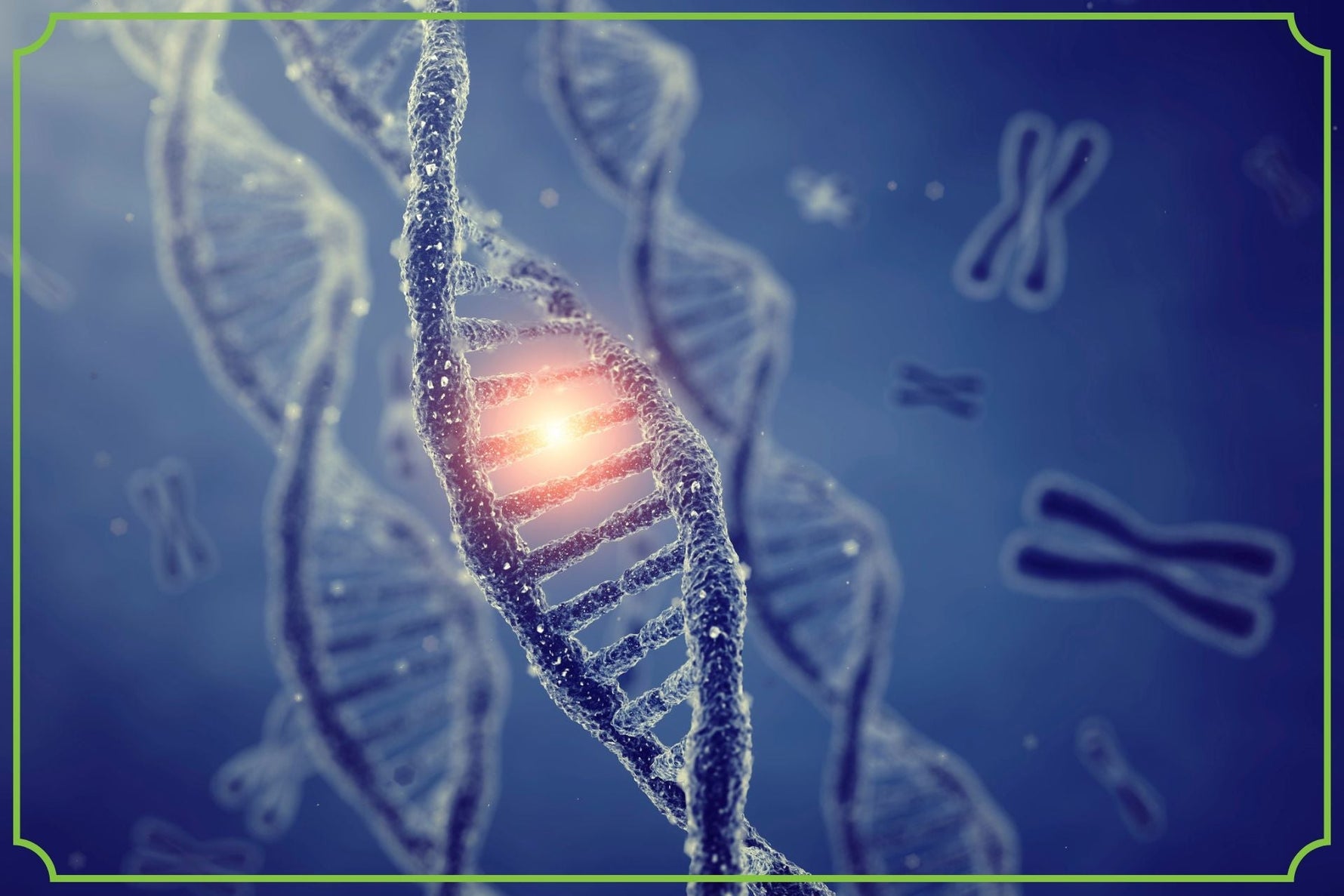 Mutacja MTHFR czym jest i jakie są jej objawy - obrazek wyróżniający