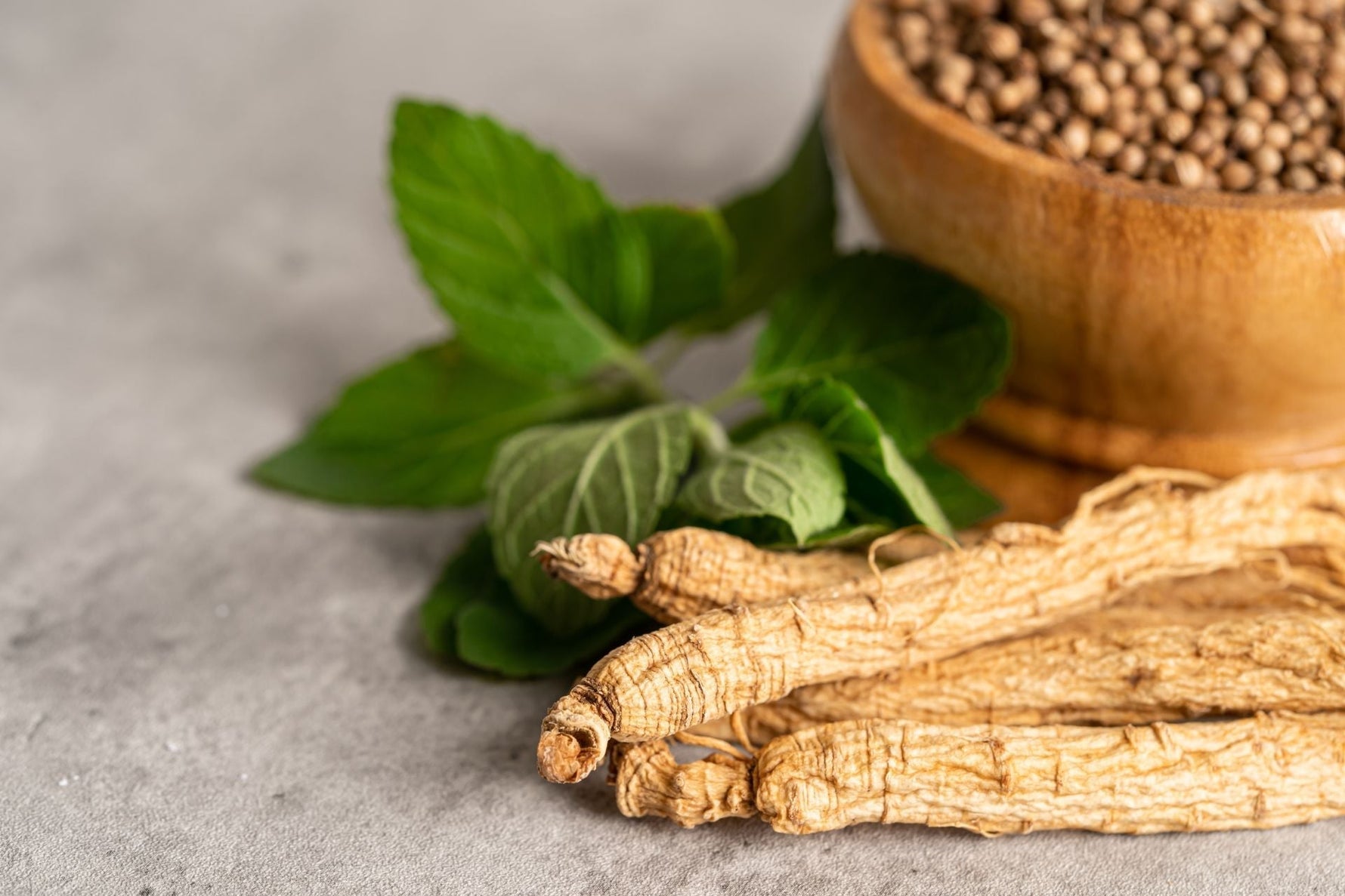 Żeń szeń (Panax ginseng) – jak działa i jakie ma właściwości? - obrazek wyróżniający