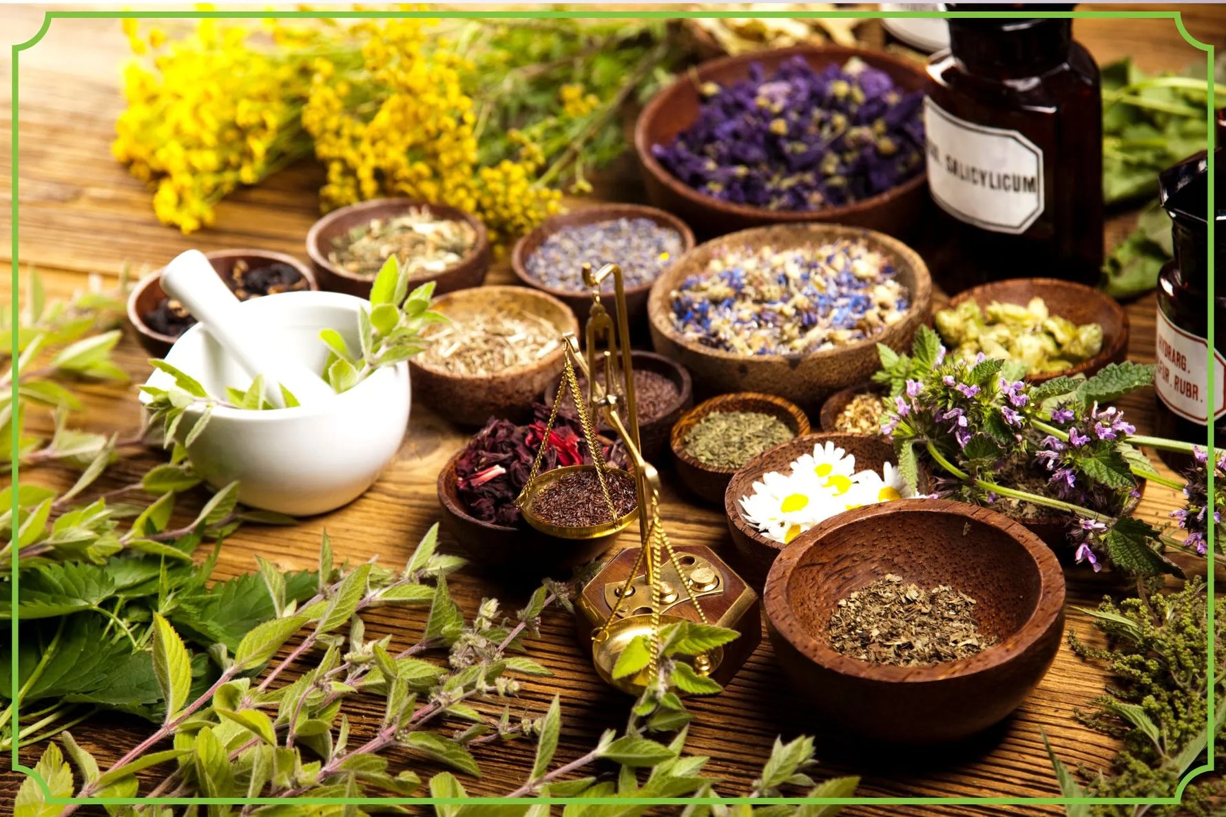 Zioła na stres - po które sięgnąć - obrazek wyróżniający