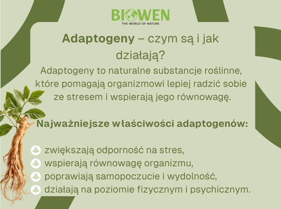 Adaptogeny - czym są i jak działają - infografika