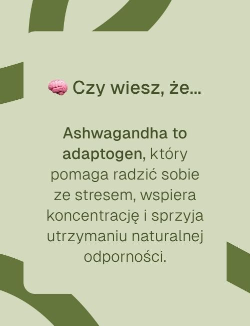 Infografika z napisem „Czy wiesz, że… Ashwagandha to adaptogen wspierający koncentrację i odporność”.
