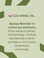 Infografika: Bacopa Monnieri wspiera pamięć, koncentrację i funkcje poznawcze oraz sprawność umysłową.