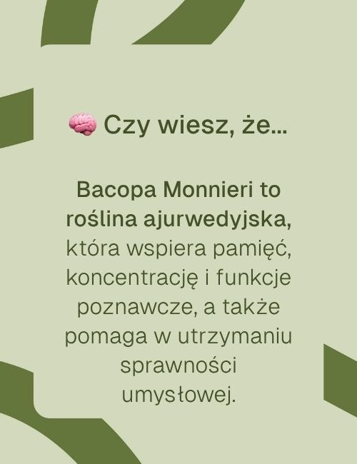 Infografika: Bacopa Monnieri wspiera pamięć, koncentrację i funkcje poznawcze oraz sprawność umysłową.