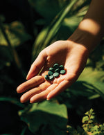 Bio Algae Detox Biowen kapsułki