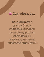 Grafika z napisem o beta-glukanach z grzyba Chaga wspierających odporność i poziom cholesterolu.