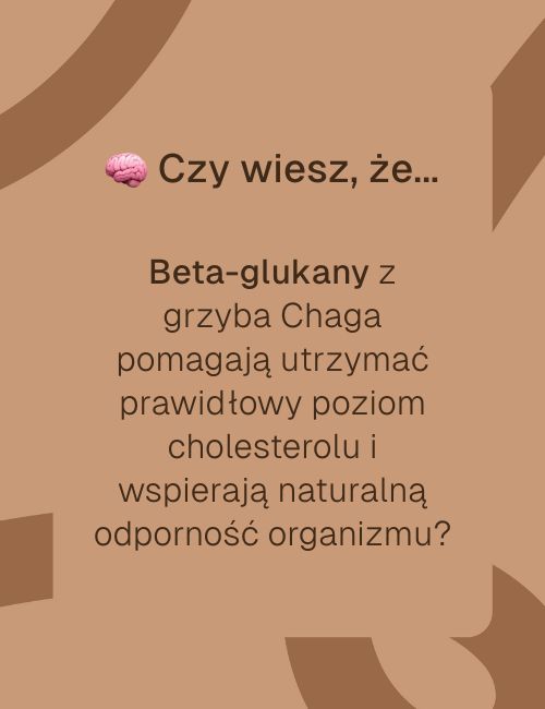 Grafika z napisem o beta-glukanach z grzyba Chaga wspierających odporność i poziom cholesterolu.
