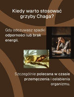 Biowen chaga - kiedy stosować - inforgrafika