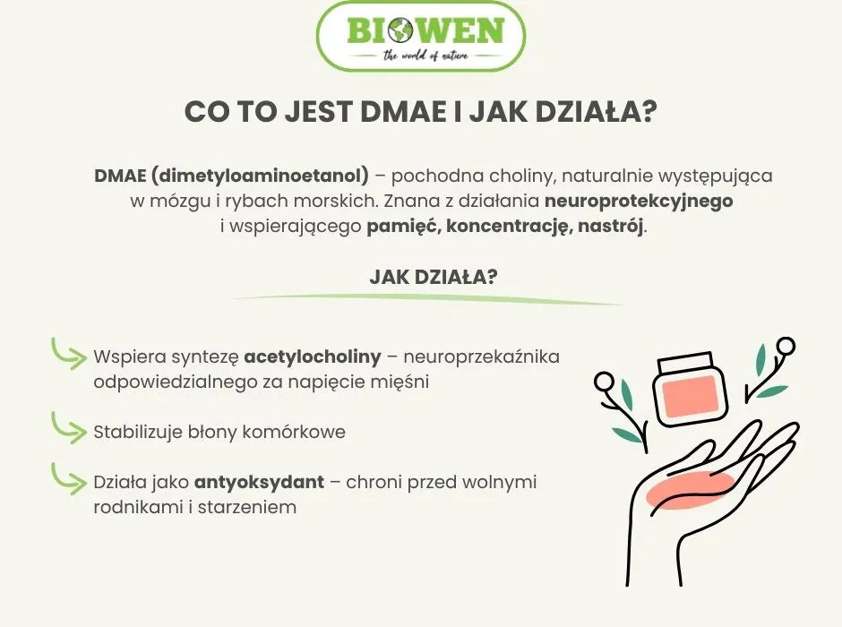 Co to jest DMAE i jak działa - infografika