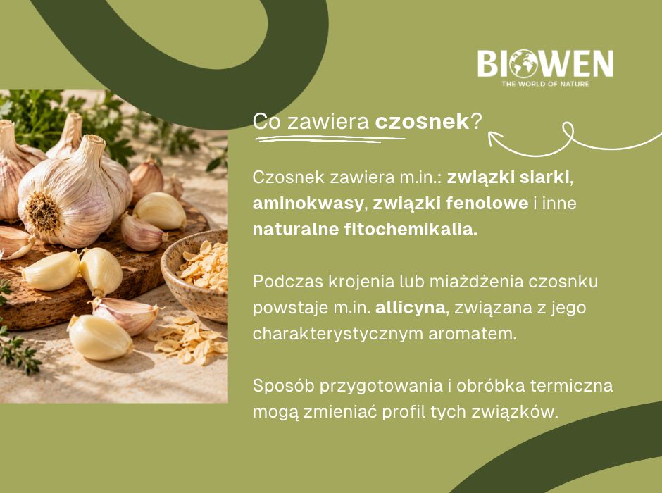 Co zawiera czosnek - infografika