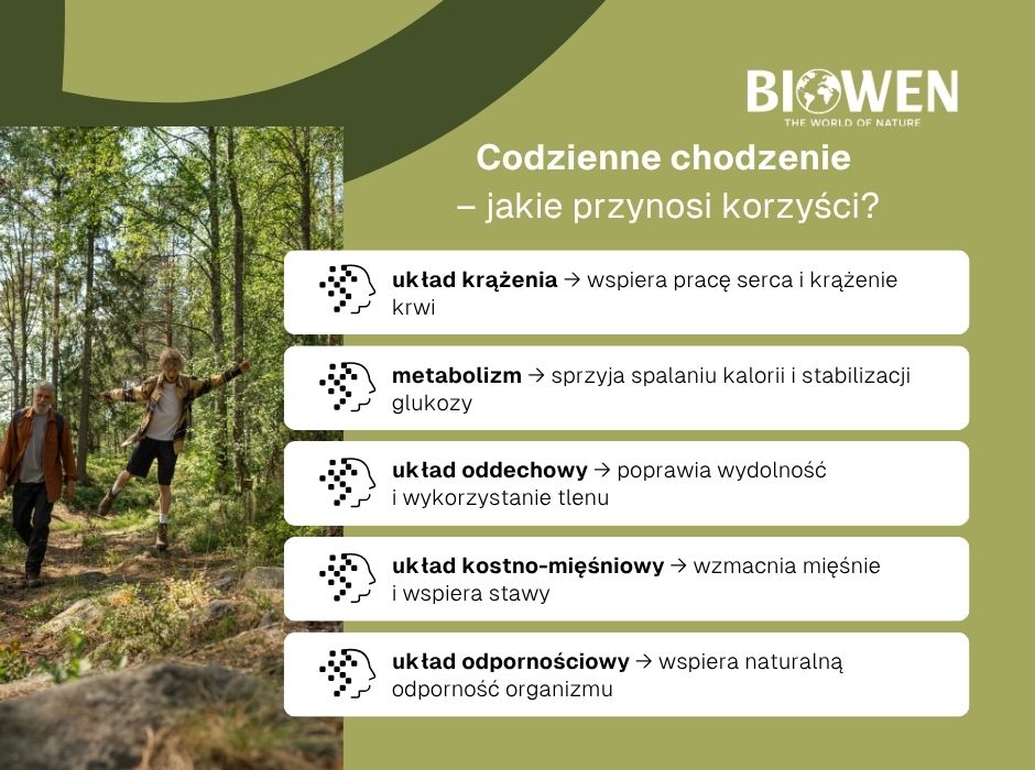 Codzienne chodzenie – jakie przynosi korzyści - infografika