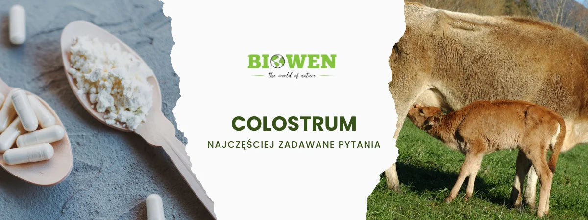 Colostrum FAQ - zdjęcie poglądowe