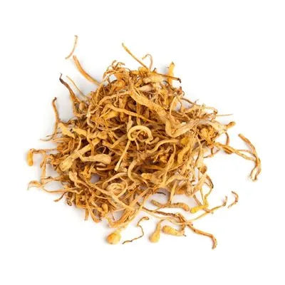 Cordyceps grzyb chiński - zdjęcie poglądowe