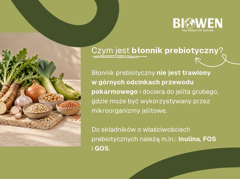 Czym jest błonnik prebiotyczny - infografika