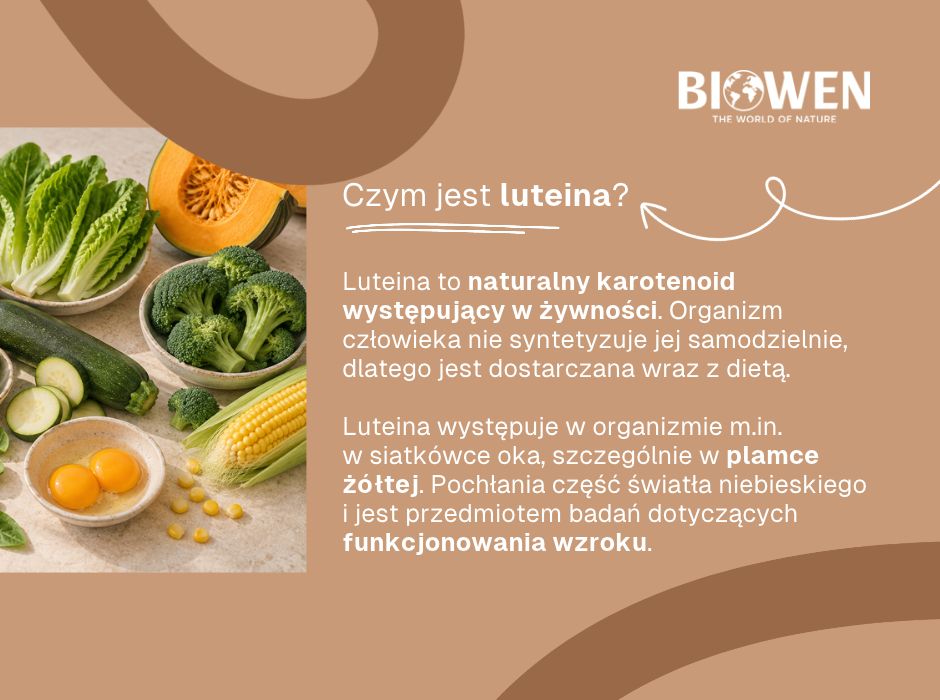 Czym jest luteina - infografika