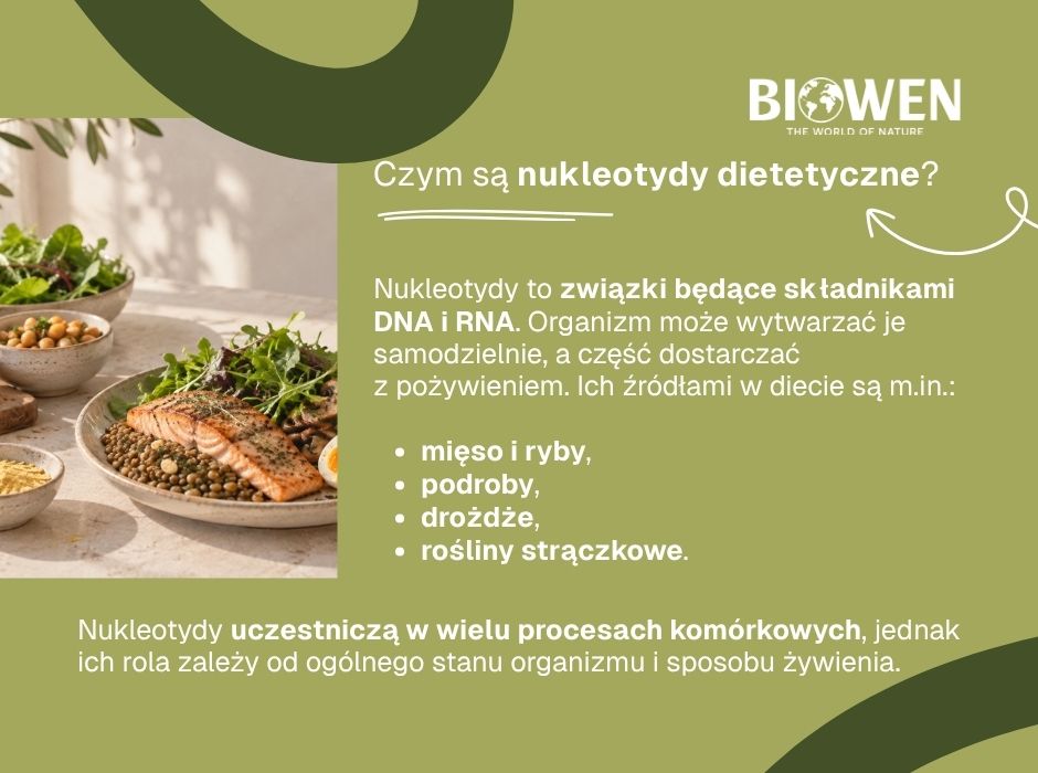 Czym są nukleotydy dietetyczne - infografika