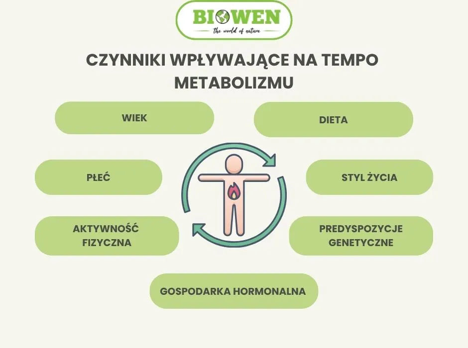 Czynniki wpływające na tempo metabolizmu - infografika