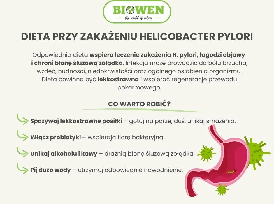 Dieta przy zakażeniu Helicobacter pylori - infografika