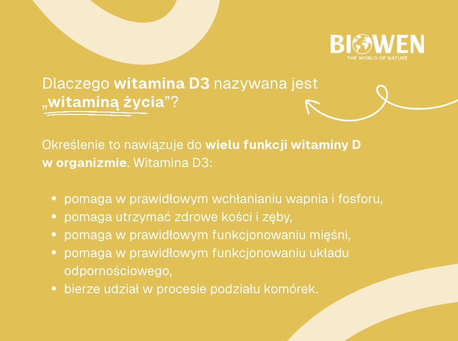 Dlaczego witamina D3 nazywana jest „witaminą życia” - infografika
