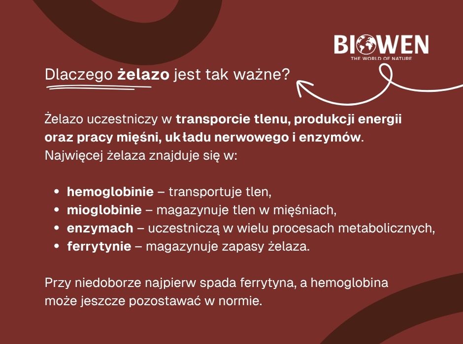 Dlaczego żelazo jest tak ważne - infografika
