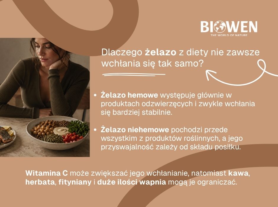 Dlaczego żelazo z diety nie zawsze wchłania się tak samo - infografika