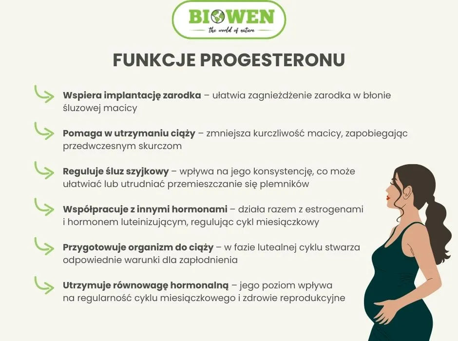 Funkcje progesteronu - infografika