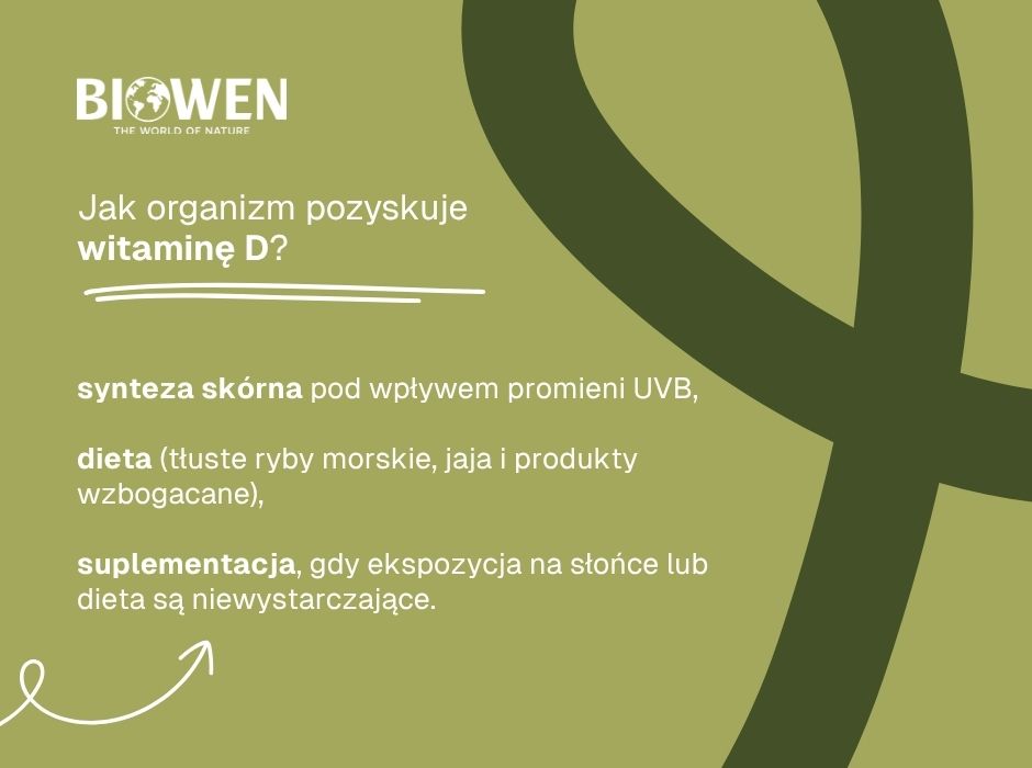 Jak organizm pozyskuje witaminę D - infografika