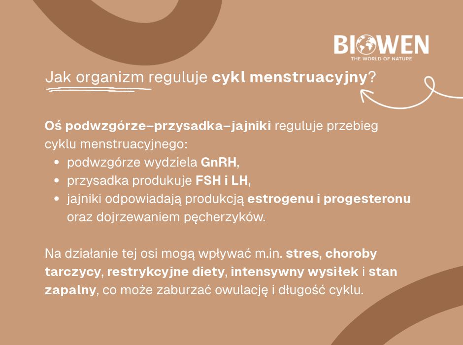 Jak organizm reguluje cykl menstruacyjny - infografika