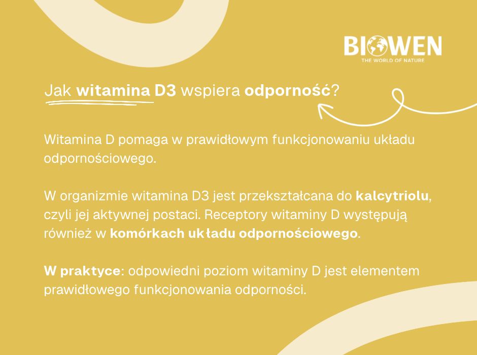 Jak witamina D3 wspiera odporność - infografika