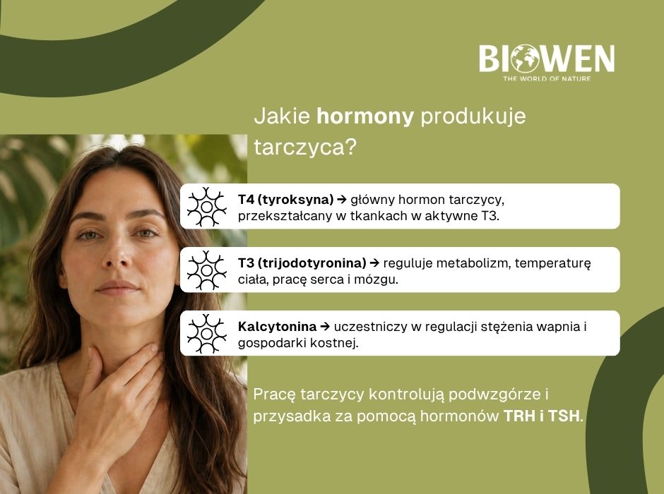 Jakie hormony produkuje tarczyca 