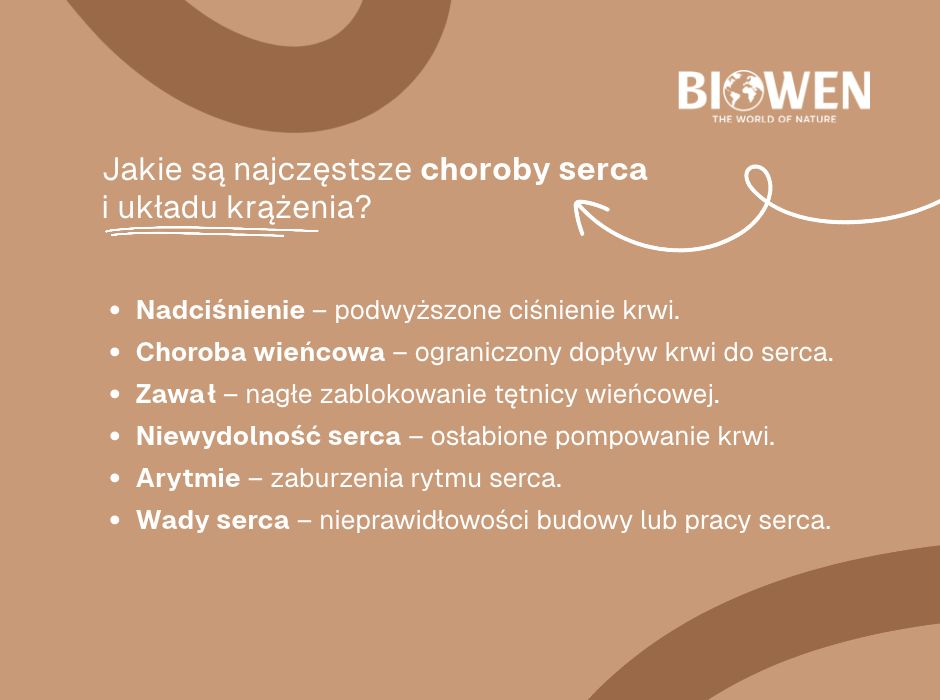 Jakie są najczęstsze choroby serca i układu krążenia - infografika