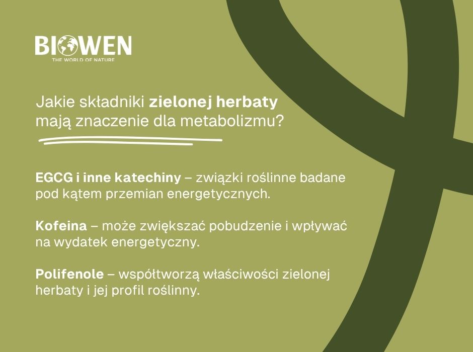 Jakie składniki zielonej herbaty mają znaczenie dla metabolizmu - infografika