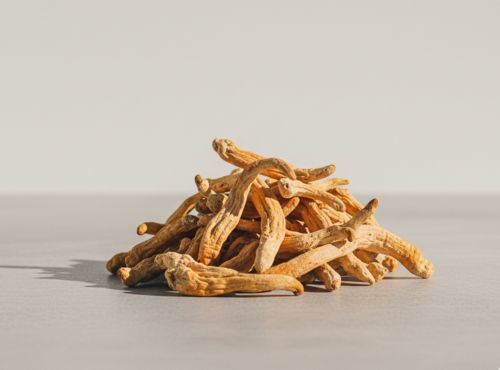 Suszone owocniki grzyba Cordyceps sinensis (kordyceps) – surowiec wykorzystywany w kapsułkach Biowen na witalność.