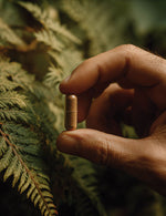 Dłoń trzymająca brązową kapsułkę suplementu Mumio himalajskie Biowen na tle zielonych liści paproci.